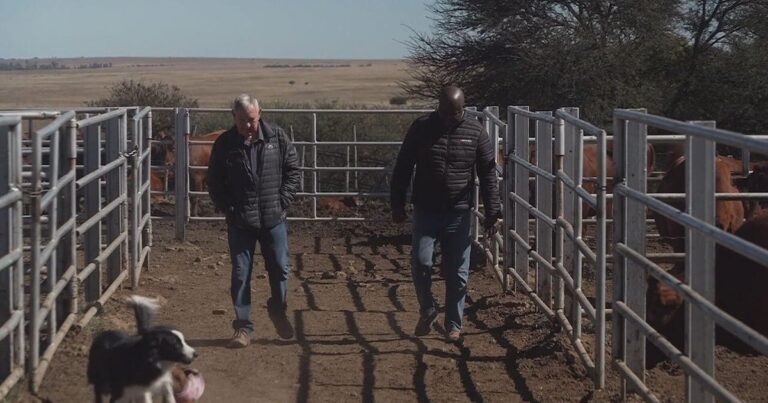 Some Africanese Trump says he lied to “white genocide” in South Africa: “It does not happen.”