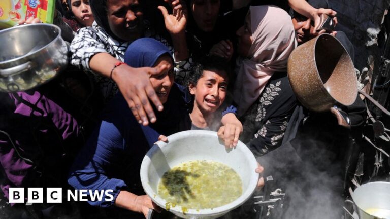 The United States approves the plan for Gaza Assistance, despite the UN signal of private companies