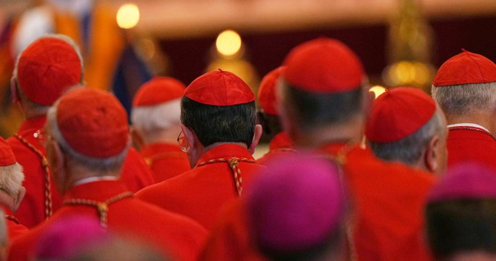 Cardinals did not create a mind on the next pope, despite some of the forefront