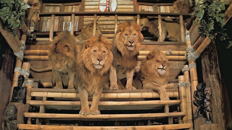 Director Twister once turned out on the wrong end of the lion attack