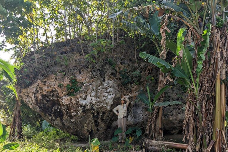 How does this 1300 tonnes stone travel up on a scale? Scientists just invented it